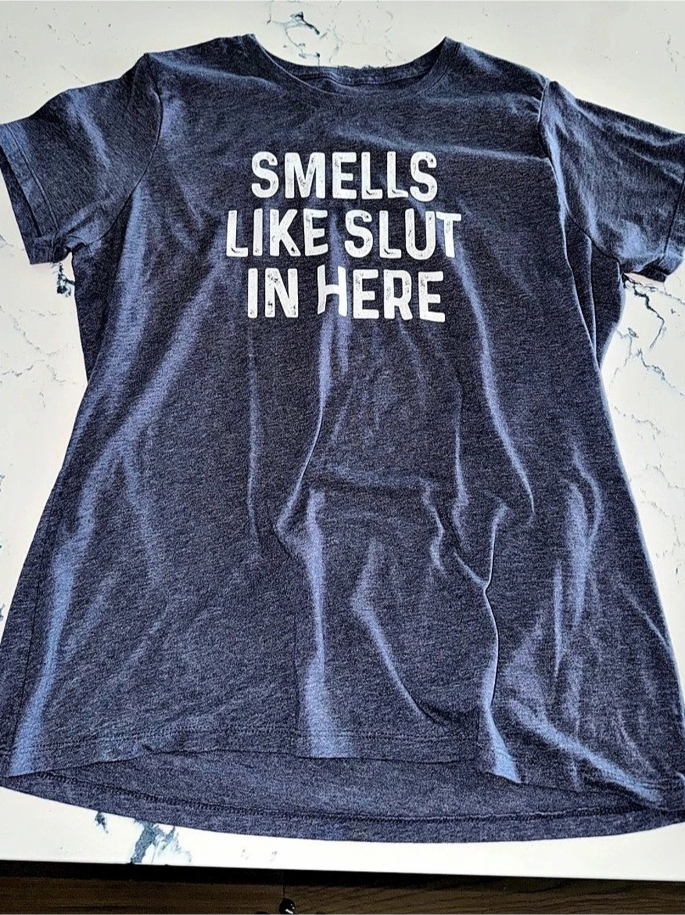 Smells like sl*t in here Naughty Graphic Short Sleeve Tee in Blue women’s t shir